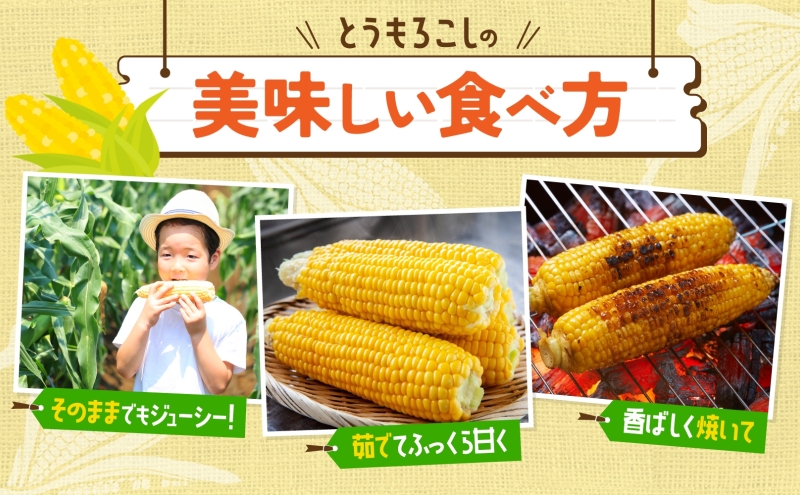 北海道産 とうもろこし 糖度20度以上 恵味 めぐみ 2L 10～12本 2026年7月下旬～8月下旬頃にお届け 先行受付 朝採り トウモロコシ スイート コーン  旬 夏 野菜 新鮮 産地直送 宮内農園 洞爺湖町