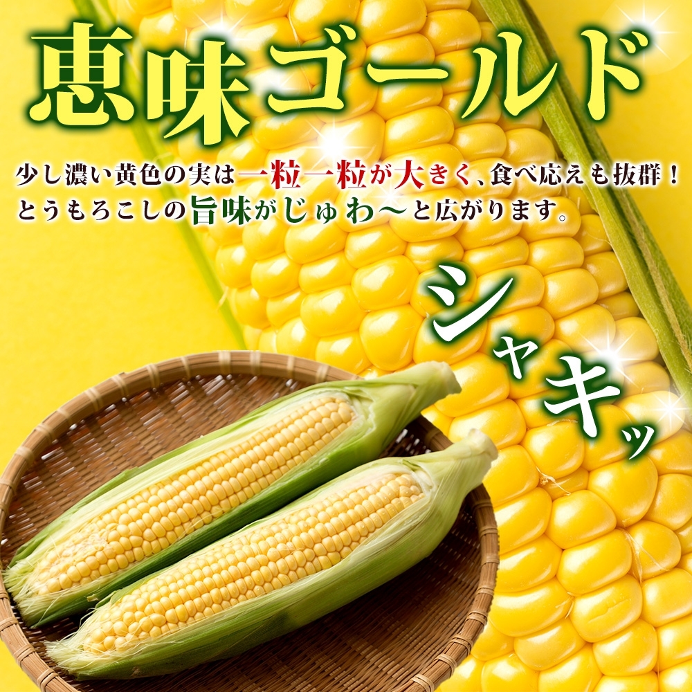 北海道 とうもろこし 恵味ゴールド 約5kg 11本入り 2027年8月11日～31日頃お届け トウモロコシ コーン 甘い 産地直送 BBQ とうきび 国産 人気 バーベキュー 焼きとうもろこし お取り寄せ 北海道産 洞爺湖町 