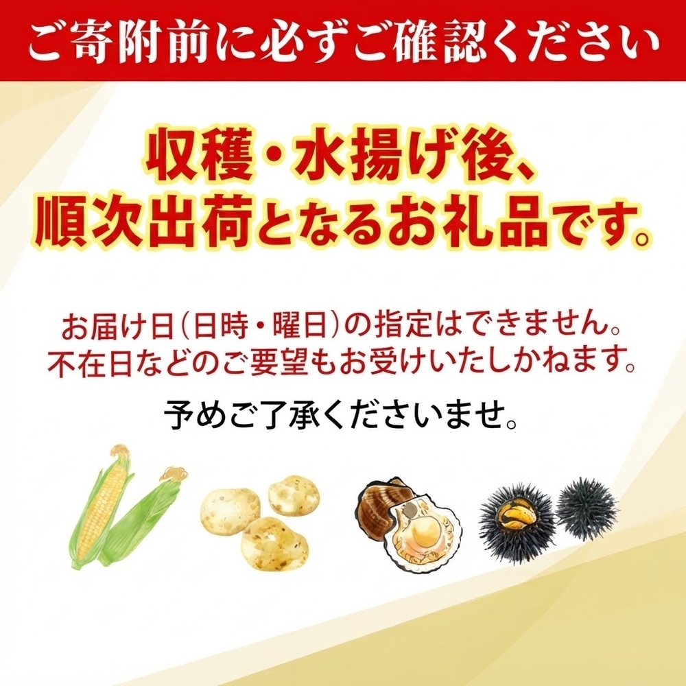 北海道 とうもろこし 恵味ゴールド 10kg 22本入り 2027年8月11日～31日頃お届け トウモロコシ コーン 甘い 産地直送 BBQ とうきび 国産 人気 バーベキュー 焼きとうもろこし お取り寄せ 北海道産 洞爺湖町