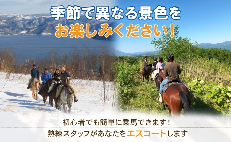 北海道 乗馬体験 40分コース ペア券 ホース トレッキング 絶景 自然 貴重 体験 経験 景色 ふれあい 血統馬 初心者 本格的 のんびり お子様 大人 楽しい レイクトーヤランチ 洞爺湖 体験チケット ふるさと納税 観光 体験 アクティビティ 旅