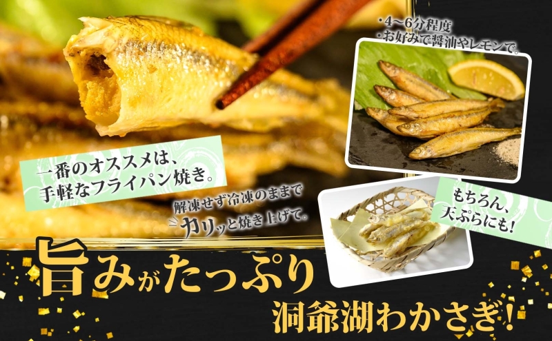 【ふるさと納税】洞爺湖町産 黄金のわかさぎ  18尾×6P 計108尾 12月以降順次出荷 北海道産 ワカサギ わかさぎ 川魚 魚介類 産地直送 冷凍 お取り寄せ グルメ 天ぷら とうやマルシェ 北海道 洞爺湖町