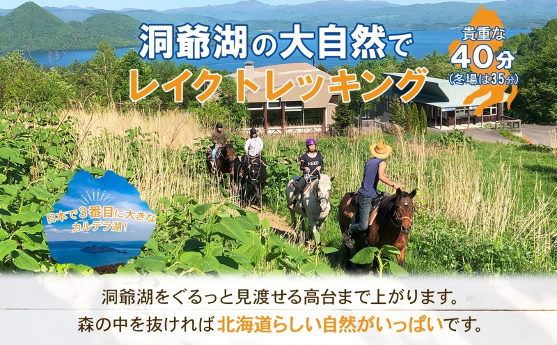 北海道 乗馬体験 40分コース ペア券 ホース トレッキング 絶景 自然 貴重 体験 経験 景色 ふれあい 血統馬 初心者 本格的 のんびり お子様 大人 楽しい レイクトーヤランチ 洞爺湖 体験チケット ふるさと納税 観光 体験 アクティビティ 旅