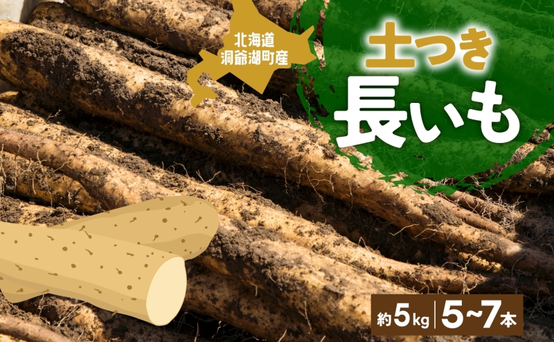 北海道産 青野農園 土つき 長いも 約5kg 5～7本 2026年11月下旬～1月中旬ごろお届け 先行予約 ながいも 土付き 北海道 長芋 自然薯 とろろ いも イモ 旬 野菜 農作物 産地直送 お取り寄せ 根菜