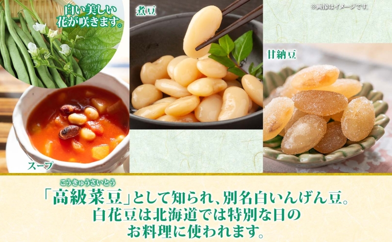 北海道 洞爺湖町産 高級菜豆 白花豆 500g×2袋 計1kg 1月下旬よりお届け しろはなまめ 花豆 豆 マメ まめ 大粒 甘い 北海道産 国産 煮豆 スープ 煮込み料理 常温 お取り寄せ 送料無料 【 洞爺湖町 】