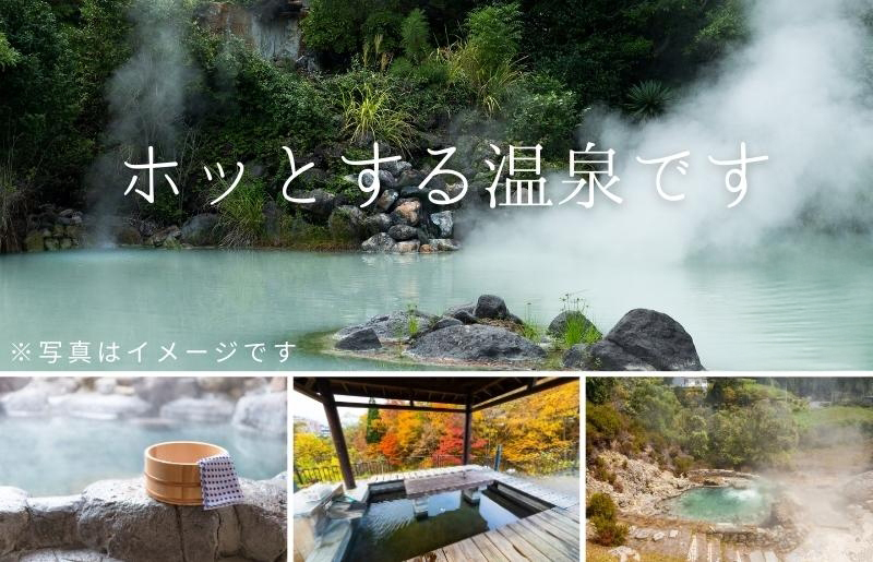 北海道ツアー 洞爺湖温泉 後から選べる旅行Webカタログで使える！ 旅行クーポン（300,000円分） 旅行券 宿泊券 飲食券 体験サービス券 送料無料 北海道 ふるさと納税 洞爺湖 観光