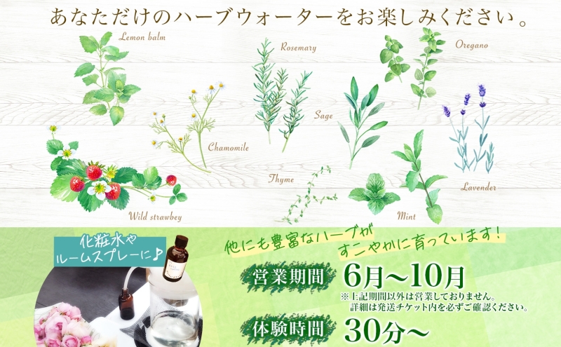 北海道 アロマ ウォーター 蒸留 体験 2枚 ハーブ フレッシュ オリジナル ハーブ畑 天然 リラックス 癒し リラクゼーション フレグランス ハーバルランチ 送料無料 洞爺湖 