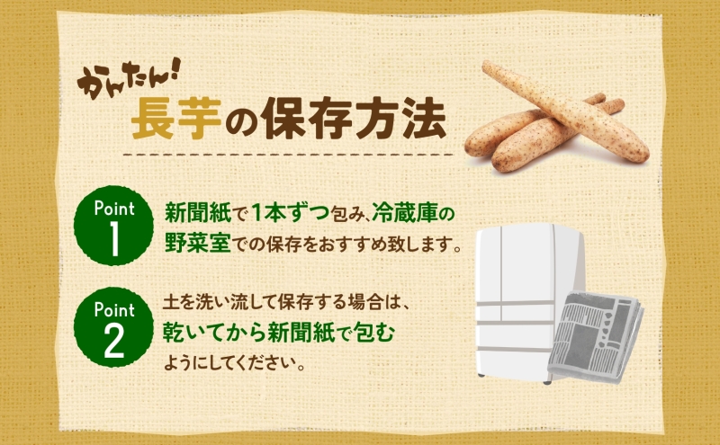 北海道産 青野農園 土つき 長いも 約5kg 5～7本 2026年11月下旬～1月中旬ごろお届け 先行予約 ながいも 土付き 北海道 長芋 自然薯 とろろ いも イモ 旬 野菜 農作物 産地直送 お取り寄せ 根菜