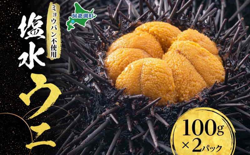 ミョウバン不使用 塩水 ウニ100g 2パック 7月下旬頃までお届け  [水揚げ後 順次出荷]  キタムラサキウニ うに ウニ 雲丹 ムラサキウニ 北海道産 魚貝 魚介 海鮮 海産 小川商店 送料無料 北海道 洞爺湖