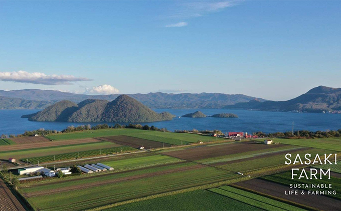 旬の野菜詰め合わせ ～ありがとうBOX2026・大～ 12月1日～1月31日頃お届け 先行予約 北海道 野菜 やさい 詰め合わせ セット 北海道産 常備菜 加工品 自然栽培 佐々木ファーム 産地直送 洞爺湖町