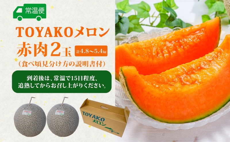 TOYAKOメロン 2玉 計4.8kg～5.4kg 2026年9月下旬～10月中旬お届け 先行予約 北海道産 メロン レッド113 糖度14度以上 赤肉 フルーツ 果物 旬 デザート 国産 贈り物 常温 今村農園 北海道 洞爺湖町 