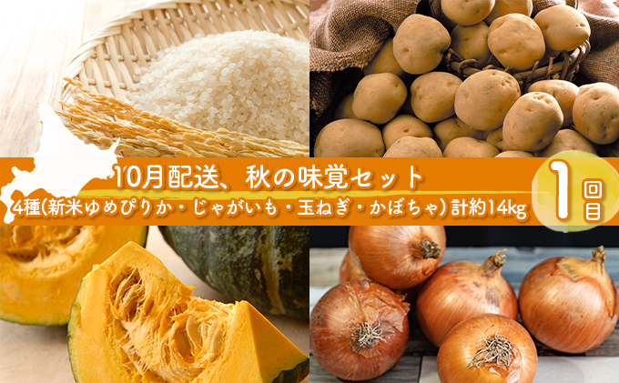 道の駅とうや湖 季節の味覚セット10月・12月・2月計3回お届け定期便 野菜 ゆめぴりか 北海道 洞爺湖町 秋の味覚 冬の味覚 梅漬け 和牛カレー 旬の味覚 