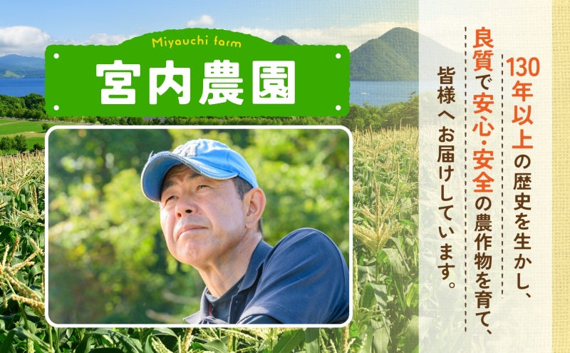 北海道産 ゆめぴりか 5kg 2袋 計10kg 令和8年産 9月中旬より発送 財田米 米 お米 精米 北海道米 ご飯 ごはん ライス ブランド米 国産米 白米 ギフト お取り寄せ 農家直送 宮内農園 北海道 洞爺湖町