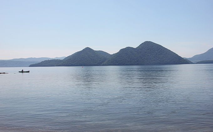 洞爺湖産わかさぎ(18尾入り×2P)・ひめます2尾(約120～140g/1尾)セット 北海道産 ワカサギ わかさぎ 川魚 魚介類 産地直送 冷凍 お取り寄せ グルメ 料理 天ぷら フライ とうやマルシェ 北海道 洞爺湖町