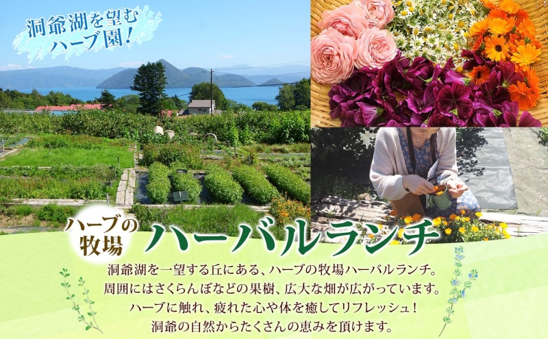 北海道 アロマ ウォーター 蒸留 体験 2枚 ハーブ フレッシュ オリジナル ハーブ畑 天然 リラックス 癒し リラクゼーション フレグランス ハーバルランチ 送料無料 洞爺湖 