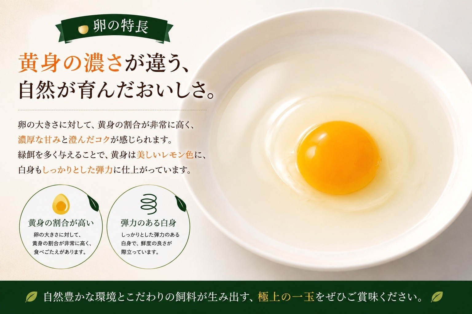 【限定50セット】標茶の恵み「平飼い 純国産 岡崎おうはん　こだわりの卵１箱 10個入り1セット」