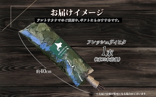 1510. フレッシュ 白樺 ヴィヒタ 1束 北海道 白樺 ヴィヒタ アロマ ウィスク インテリア サウナグッズ サウナ テントサウナ 北海道 弟子屈町
