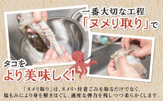 北海道旨味たこ【1.0kg以上×足のみ】