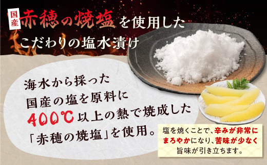 大手百貨店も扱う品質「塩数の子（塩水漬け）【500g】」おせち お正月 数の子 かずのこ 塩数の子 塩かずのこ つまみ 北海道 海鮮 人気 グルメ 食べ物 魚卵 魚 魚介 北海道 白糠町