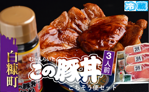 ※冷蔵※この豚丼 ごちそう便セット【3人前】