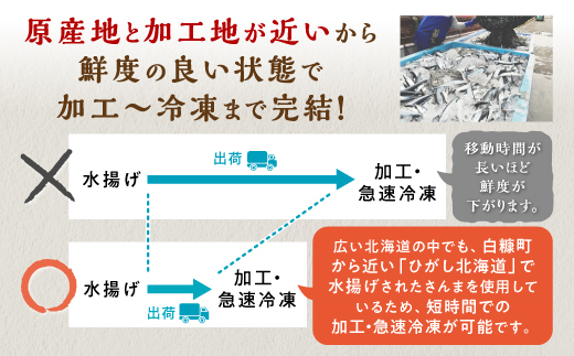 北海道産さんま蒲焼【30枚入り】