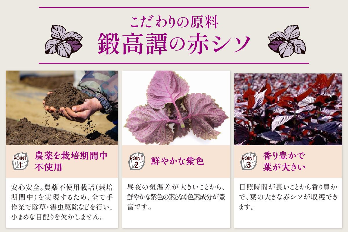 赤鍛高譚パック［900ml］【4本セット】