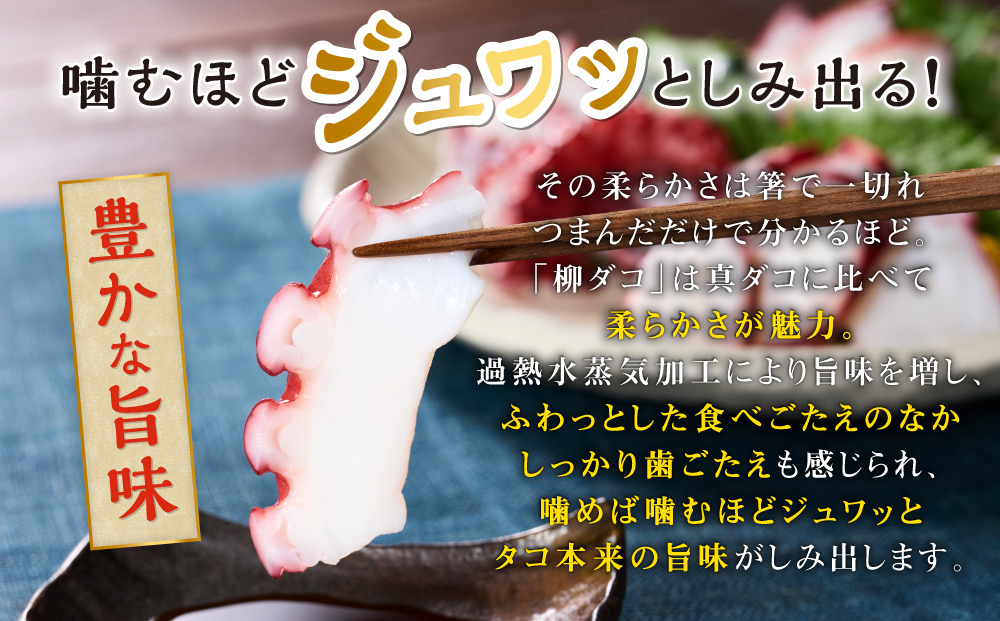 北海道旨味たこ【1.0kg以上×足のみ】