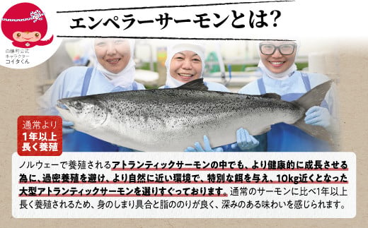  貴重！エンペラーサーモンの希少部位！ 1kg（約15枚入） 腹ビレ肉 通称「グリ」 1尾から2個しか取れない 脂乗り抜群 ふるさと納税 ハラス 鮭ハラス ふるさと納税 鮭 サーモン サケ シャケ おかず おにぎり ふるさと 人気 ランキング 北海道 白糠町
