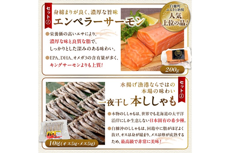 栄三郎商店海産物セット