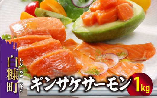 ギンサケサーモン【1kg】 小分け 下処理不要 絶品の「塩締め」レシピ ふるさと納税 海鮮 サーモン 鮭 魚 銀鮭 刺身 生食用 さけ サケ ふるさと ランキング 人気 魚介類 魚介 北海道 白糠町