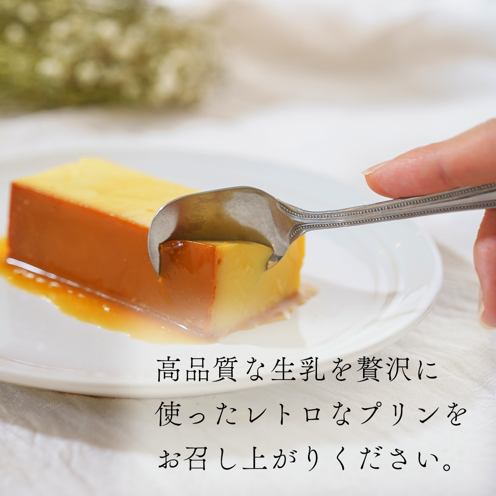 【定期便】濃厚プリン　New Pudding（ニュープディング）（500g×1本）×12ヶ月【be152-0931-100-12】