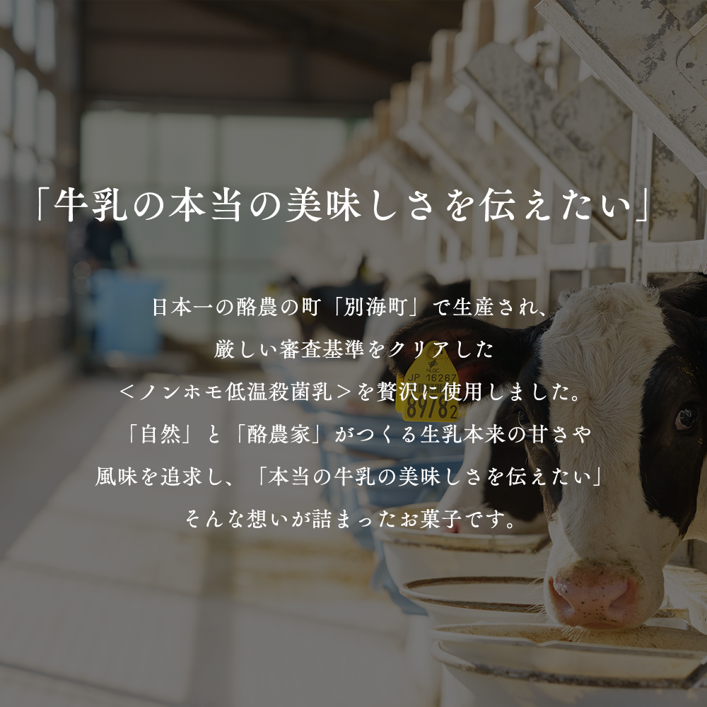 【定期便】濃厚プリン　New Pudding（ニュープディング）（500g×1本）×12ヶ月【be152-0931-100-12】