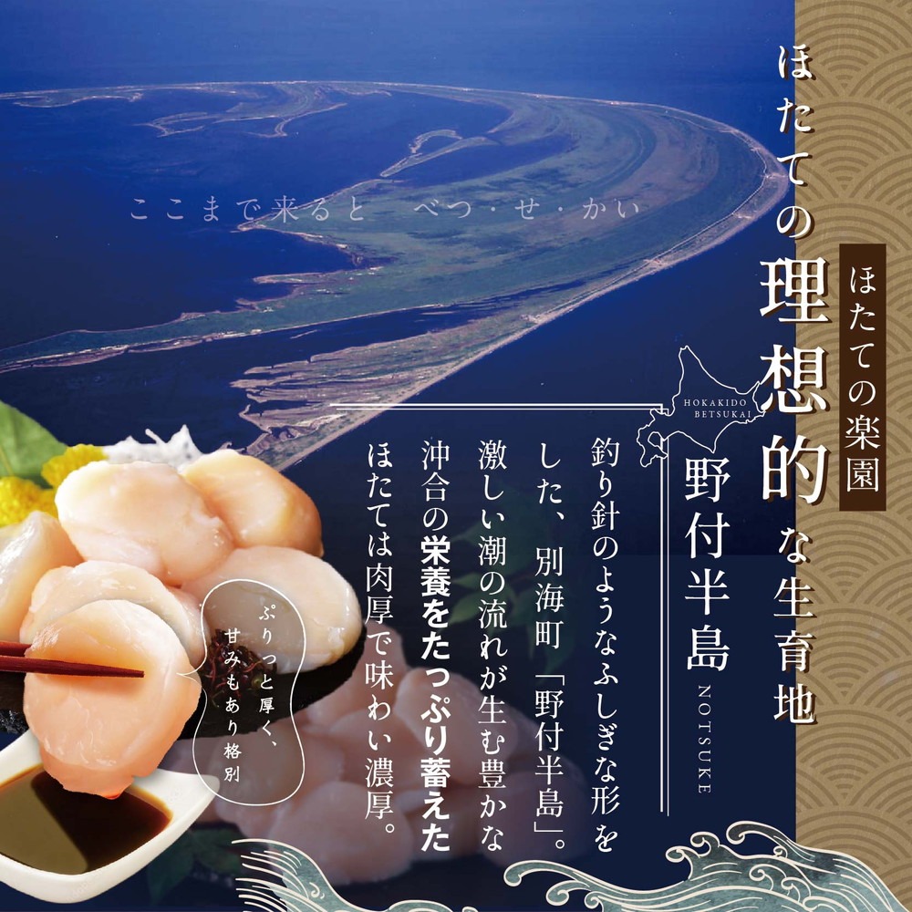 【毎月9ヶ月定期便】北海道 野付産 冷凍 ホタテ 貝柱 ジャンボホタテ500g 濃厚な旨味と甘み （ほたて ホタテ 帆立 貝柱 ホタテ貝柱 大玉 大粒 北海道 別海 野付 ふるさと納税）