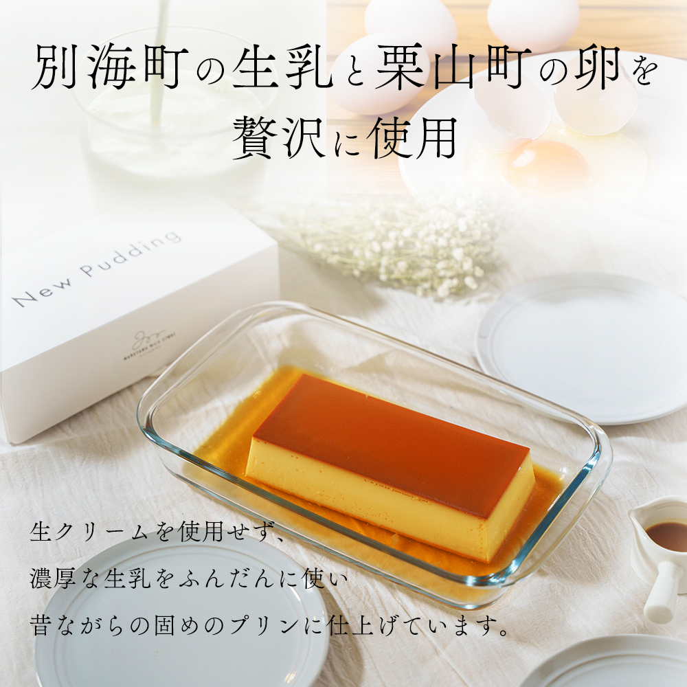 【定期便】濃厚プリン　New Pudding（ニュープディング）（500g×1本）×12ヶ月【be152-0931-100-12】