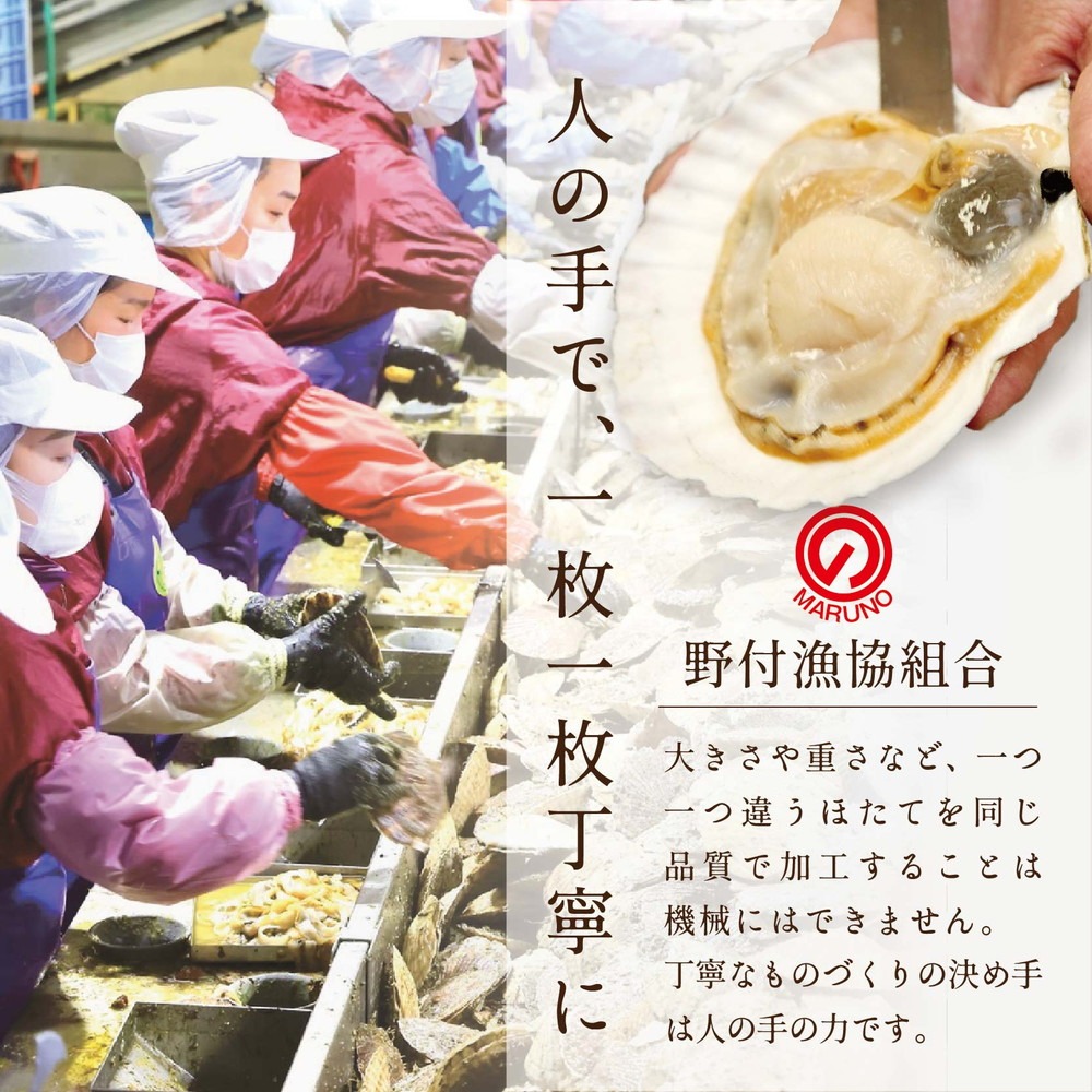 【毎月3ヶ月定期便】北海道 野付産 冷凍 ホタテ 貝柱 ジャンボホタテ500g 濃厚な旨味と甘み （ほたて ホタテ 帆立 貝柱 ホタテ貝柱 大玉 大粒 北海道 別海 野付 ふるさと納税）