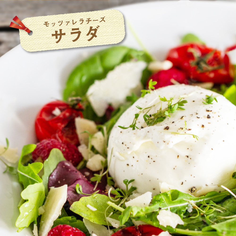 【森永乳業】モッツァレラチーズ　６００ｇ (１００ｇ×６個セット)　クラフト フレッシュモッツァレラ