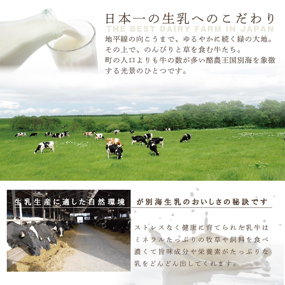 【ご好評につき数ヶ月待ち！】 (7月)北海道の新鮮ミルクたっぷり～♪こだわり【濃厚チーズケーキ】BETSUKAI～べつかい【CM0000003】濃厚 ケーキ 北海道 新鮮 ミルク たっぷり BETSUKAI 別海町 マスカルポーネ ふるさと納税 スイーツ ベイクドチーズ 人気 ランキング おすすめ ）
