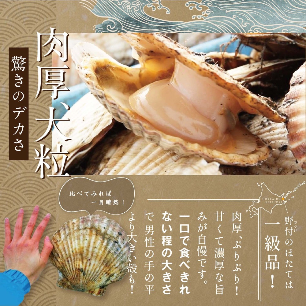 【隔月3ヶ月定期便】北海道 野付産 冷凍 ホタテ 貝柱 ジャンボホタテ500g 濃厚な旨味と甘み （ほたて ホタテ 帆立 貝柱 ホタテ貝柱 大玉 大粒 北海道 別海 野付 ふるさと納税）