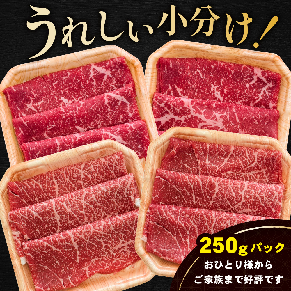 黒毛和牛 赤身肉スライス（モモ ウデ） 500g（250g×2パック）（ 肉 牛肉 北海道産肉 北海道産牛肉 道産肉 道産牛肉 肉ギフト 牛肉ギフト 肉セット 牛肉セット 肉お取り寄せ 牛肉お取り寄せ 肉送料無料 牛肉送料無料 ）