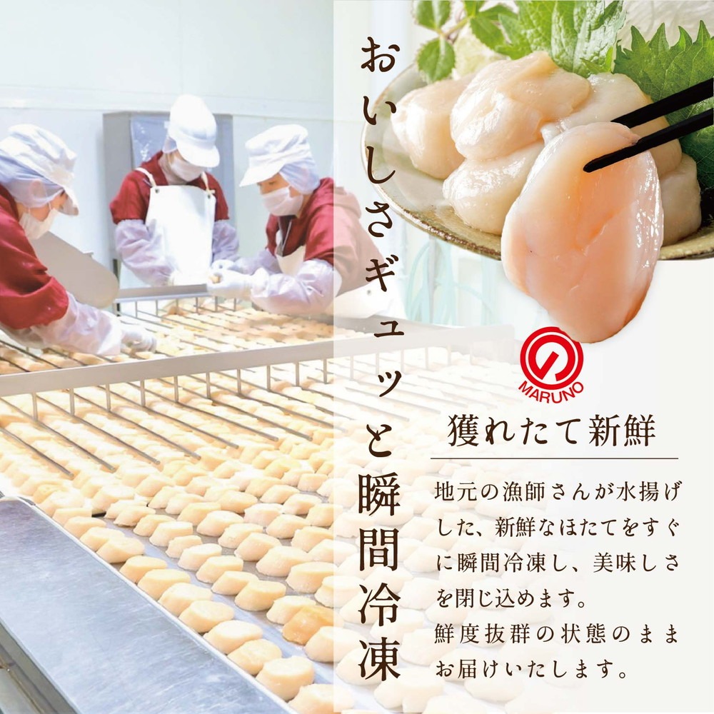 【毎月12ヶ月定期便】北海道 野付産 冷凍 ホタテ 貝柱 ジャンボホタテ500g 濃厚な旨味と甘み （ほたて ホタテ 帆立 貝柱 ホタテ貝柱 大玉 大粒 北海道 別海 野付 ふるさと納税）