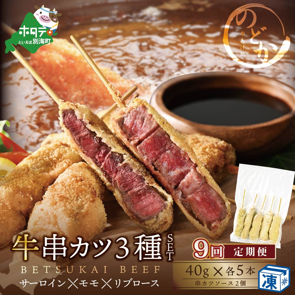 【毎月定期便】サーロイン・モモ・リブロース3種の牛カツセット×9ヵ月【NDM090096】（串あげ処のどか）