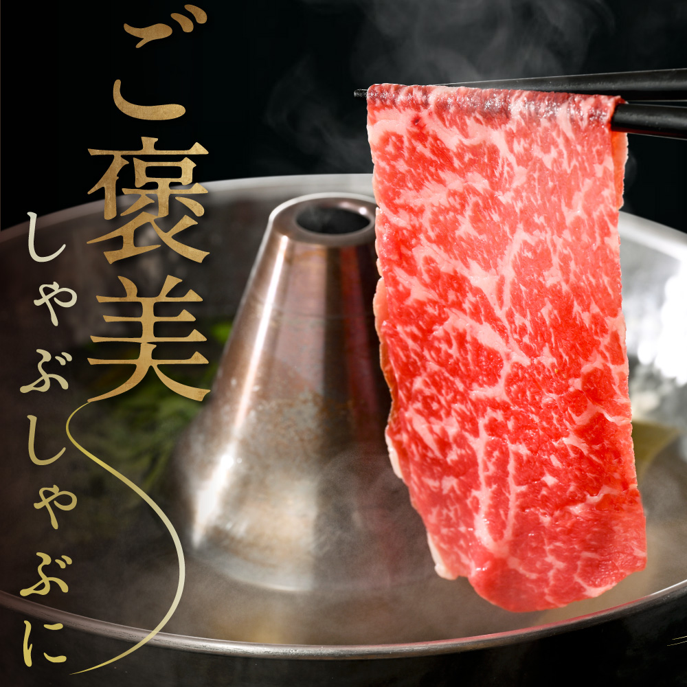 黒毛和牛 赤身肉スライス（モモ ウデ） 500g（250g×2パック）（ 肉 牛肉 北海道産肉 北海道産牛肉 道産肉 道産牛肉 肉ギフト 牛肉ギフト 肉セット 牛肉セット 肉お取り寄せ 牛肉お取り寄せ 肉送料無料 牛肉送料無料 ）