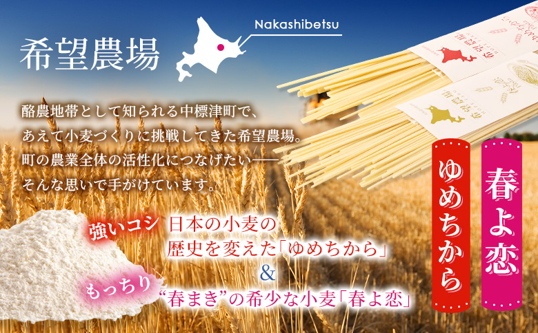 北海道中標津町産「春よ恋」パスタ・「ゆめちから」パスタ 各2袋（合計4袋）【82005】