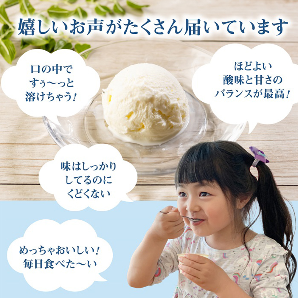 【定期便：全9回】【無添加】北海道 フローズンヨーグルト×12個【1105403】