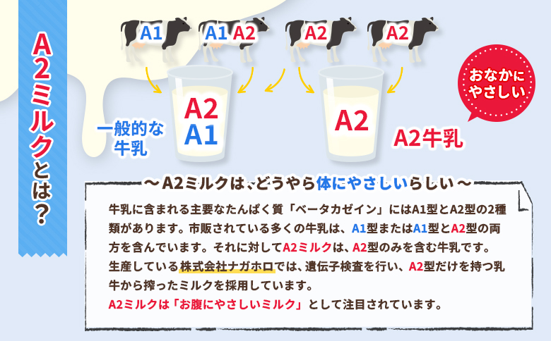 なかしべつ牛乳プレミアム NA2 MILK 200ml×6個【1402403】