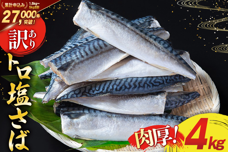 訳あり 塩サバ フィレ 4kg [足利本店 宮城県 気仙沼市 20565496] 魚介類 魚 海鮮 大容量 サバ さば 鯖 サバフィレ サバフィーレ 鯖フィレ 切り身 冷凍 訳アリ わけあり トロサバ 減塩 とろさば