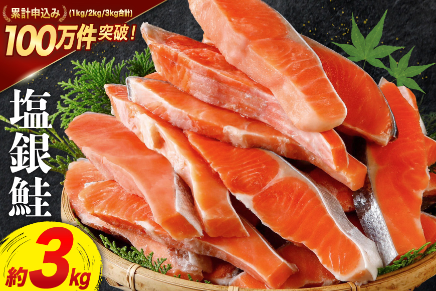 訳あり 銀鮭 切身 約3kg [宮城東洋 宮城県 気仙沼市 20564992] 鮭 魚介類 海鮮 訳アリ 規格外 不揃い さけ サケ 鮭切身 シャケ 切り身 冷凍 家庭用 おかず 弁当 支援 サーモン 銀鮭切り身 魚 わけあり
