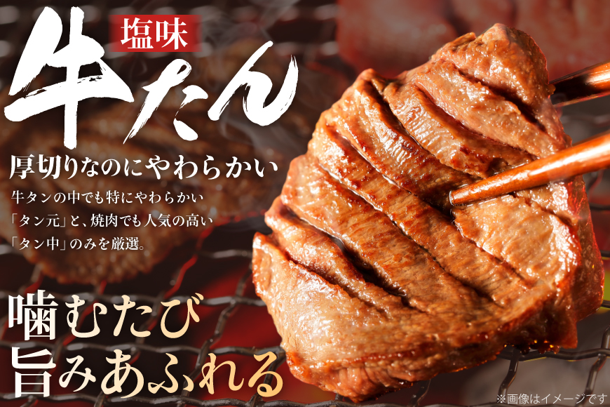 厚切り牛タン 塩味 500g [亀山精肉店 宮城県 気仙沼市 20565156] 精肉 肉 牛肉 牛たん 牛タン ぎゅうたん タン タン塩 厚切り 味付き 冷凍 焼肉 焼き肉 BBQ アウトドア