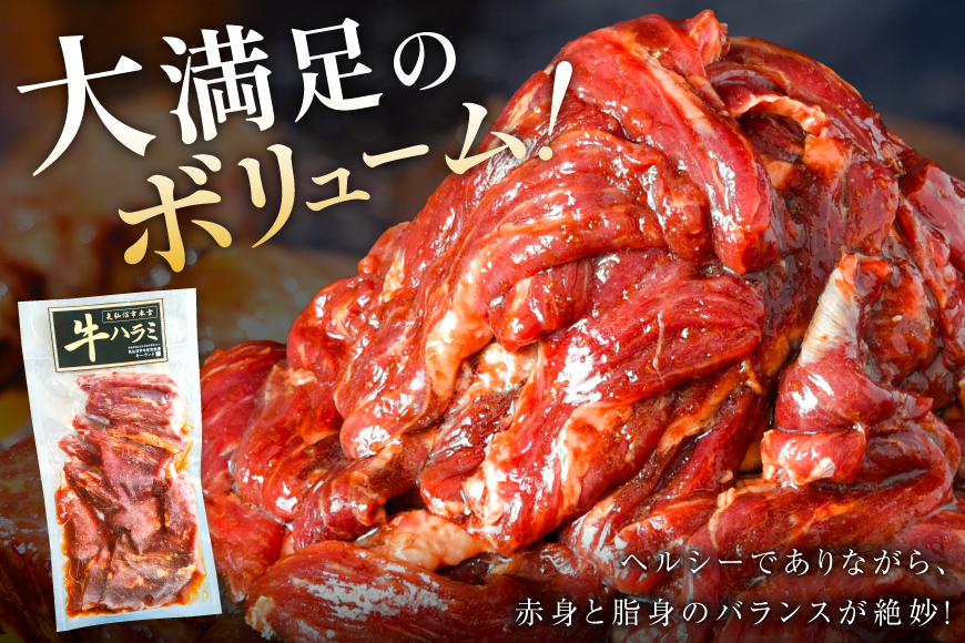 大人気！特製タレ漬 牛ハラミ 計900g (300g×3p) [モ〜ランド 宮城県 気仙沼市 20564312] 牛肉 肉 焼肉 ハラミ はらみ サガリ タレ BBQ おすすめ 焼き肉 焼肉セット 焼肉用 小分け 冷凍