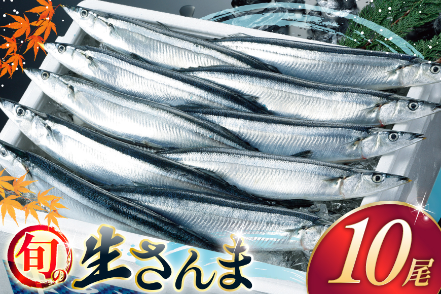 【期間限定発送】 生 さんま 10尾 [阿部長商店 宮城県 気仙沼市 20565760] 魚 サンマ 秋刀魚 生鮮 鮮魚 季節限定