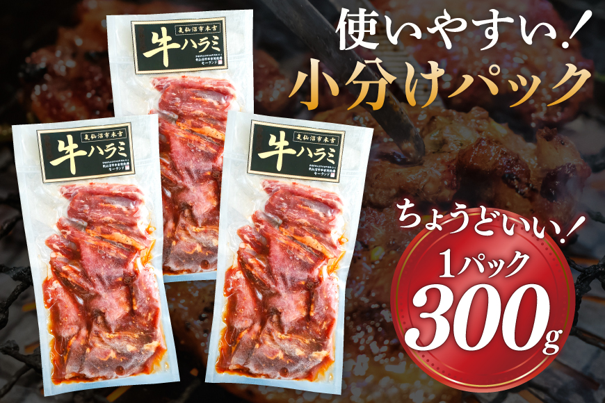 大人気！特製タレ漬 牛ハラミ 計900g (300g×3p) [モ〜ランド 宮城県 気仙沼市 20564312] 牛肉 肉 焼肉 ハラミ はらみ サガリ タレ BBQ おすすめ 焼き肉 焼肉セット 焼肉用 小分け 冷凍
